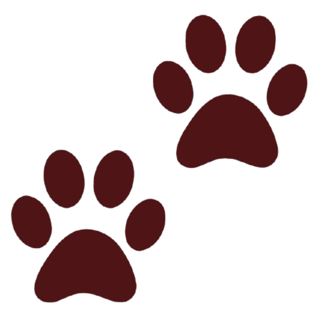 Paw Icon